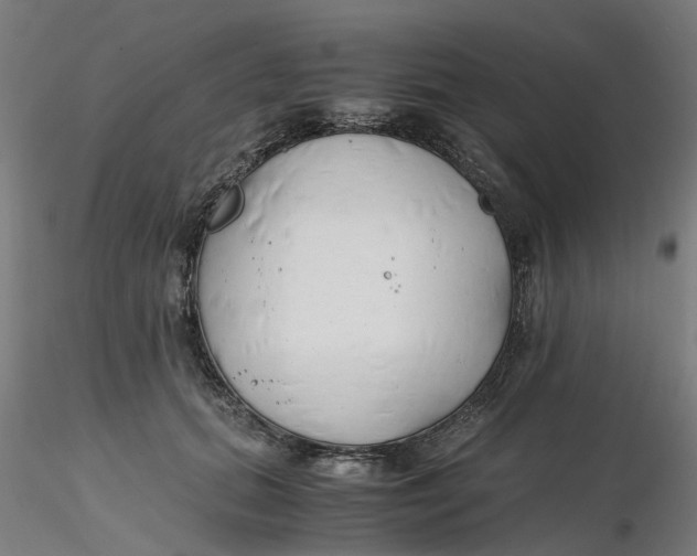 X0000116330655200912221421