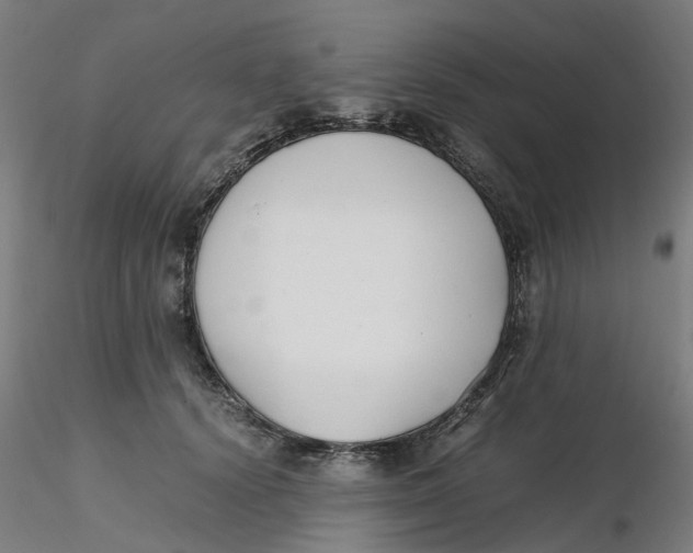 X0000116330656200912221421