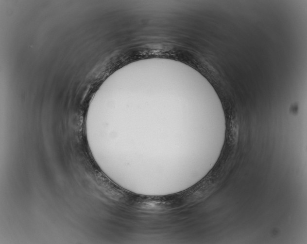 X0000116330657200912221421