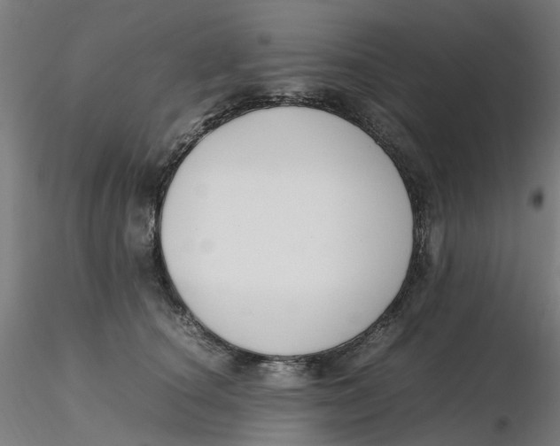 X0000116330660200912221421