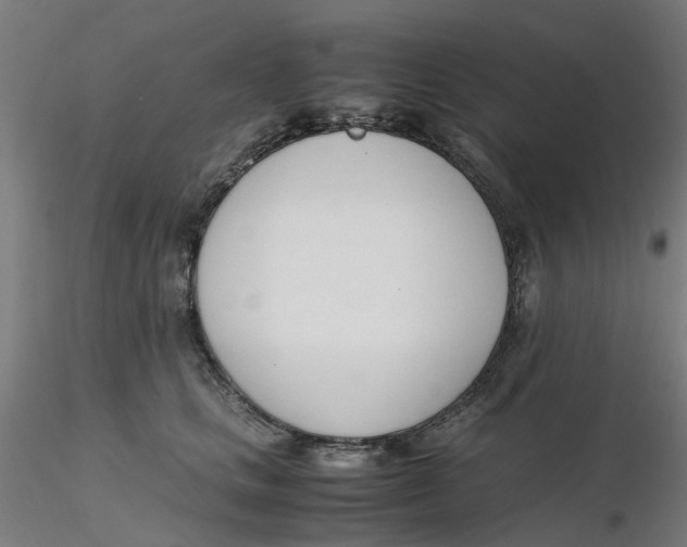 X0000116330661200912221421