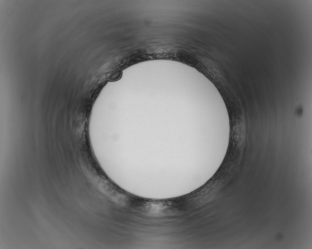 X0000116330662200912221421