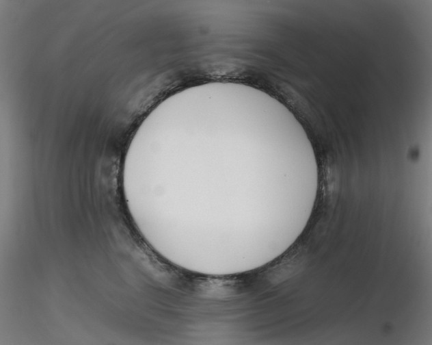 X0000116330664200912221421