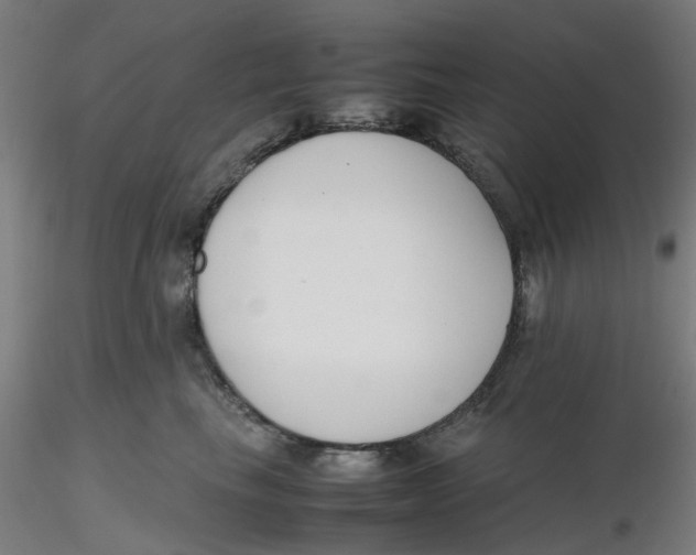 X0000116330665200912221421