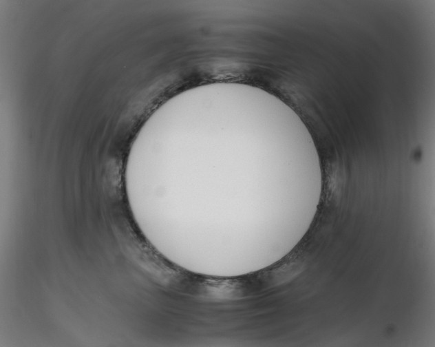 X0000116330667200912221421