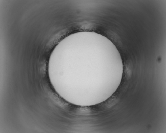 X0000116330668200912221421