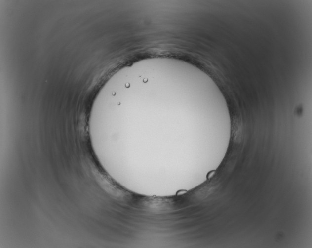 X0000116330670200912221421