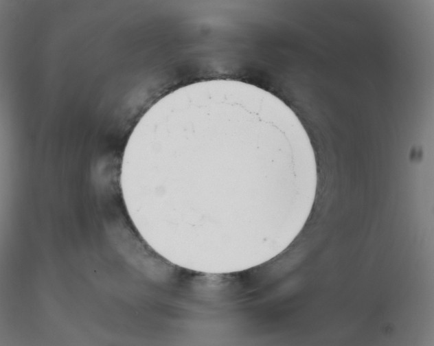 X0000116330672200912221421