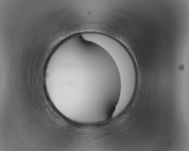 X0000116330673200912221420