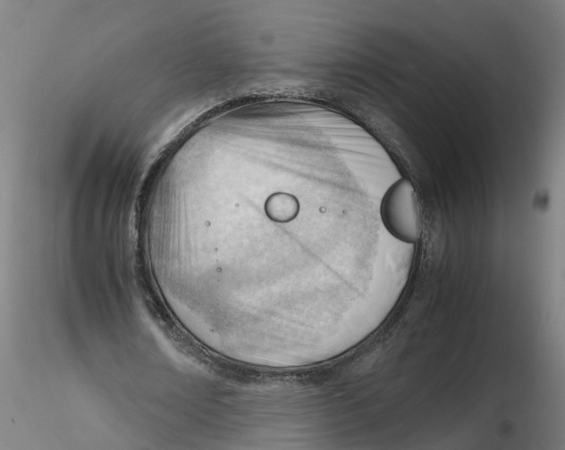 X0000116330674200912221420