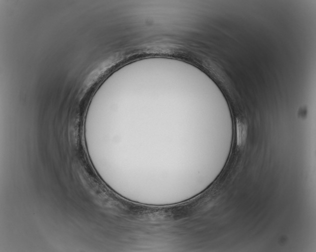 X0000116330675200912221420