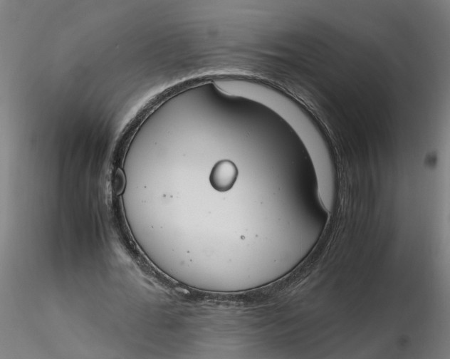 X0000116330676200912221420