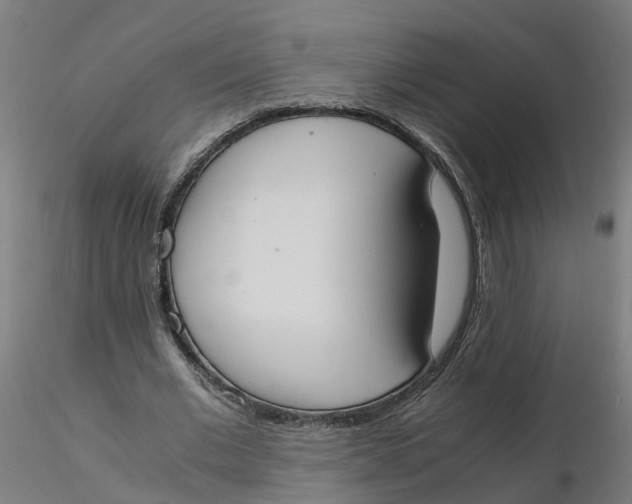 X0000116330677200912221420