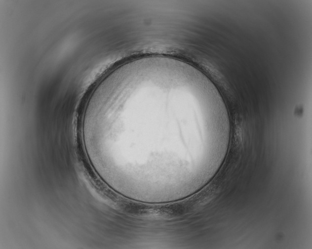 X0000116330678200912221420