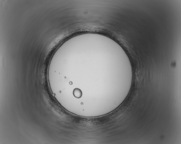 X0000116330679200912221420