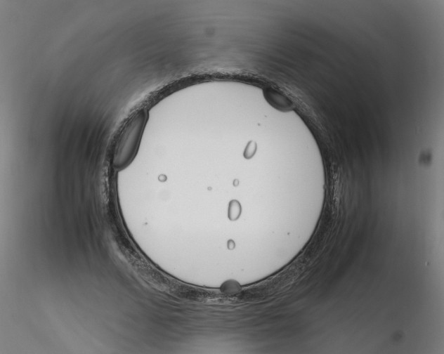 X0000116330680200912221420