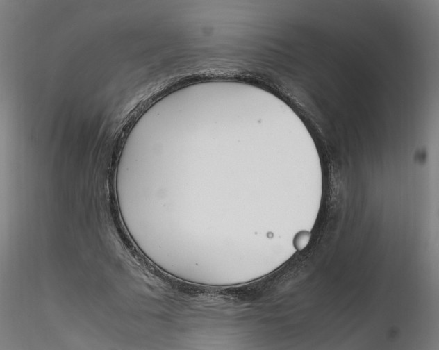 X0000116330681200912221420