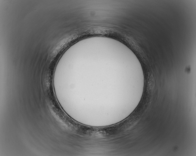 X0000116330683200912221420