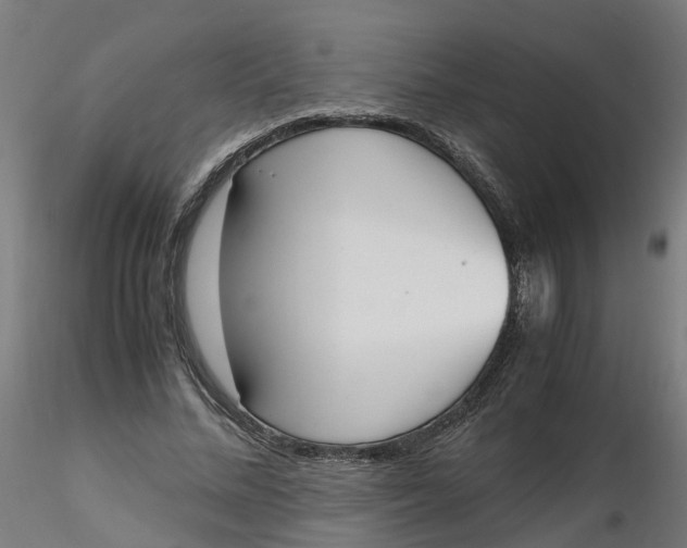 X0000116330684200912221420