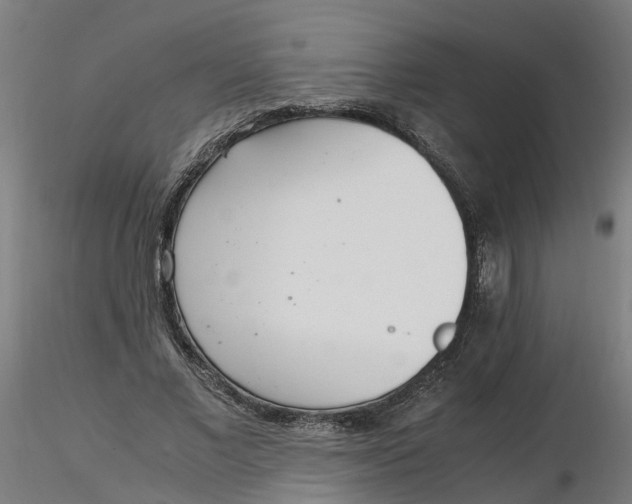 X0000116330685200912221420