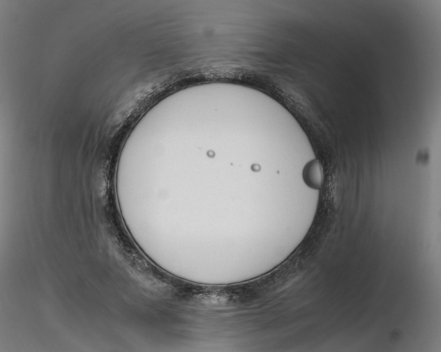 X0000116330687200912221420