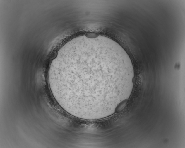 X0000116330688200912221420