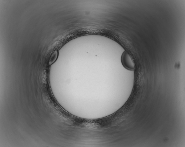 X0000116330689200912221420