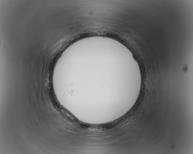 X0000116330693200912221420