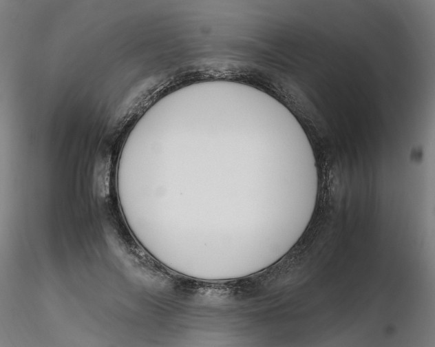 X0000116330694200912221420