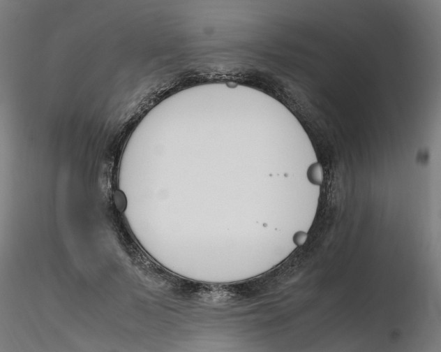 X0000116330695200912221420