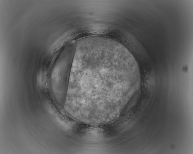 X0000116330696200912221420