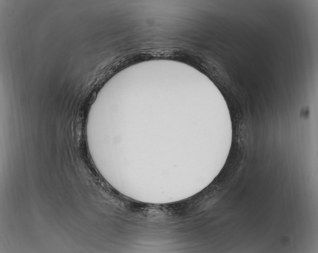 X0000116330697200912221420