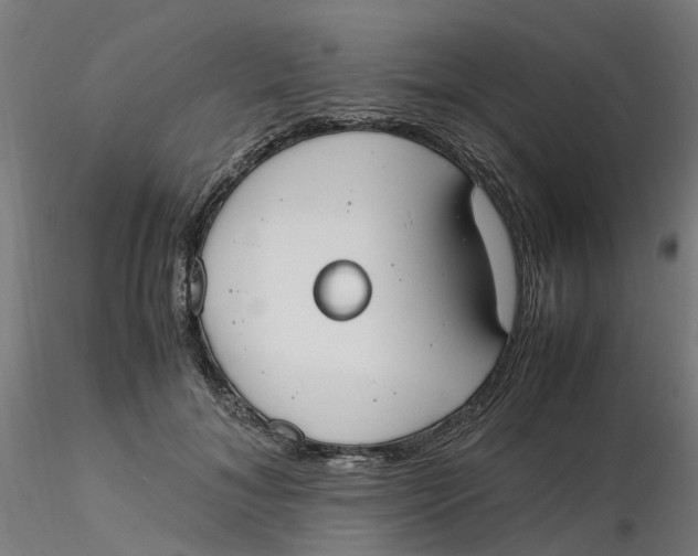 X0000116330700200912221420