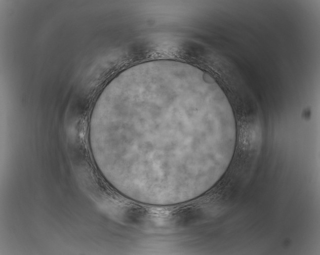 X0000116330701200912221420