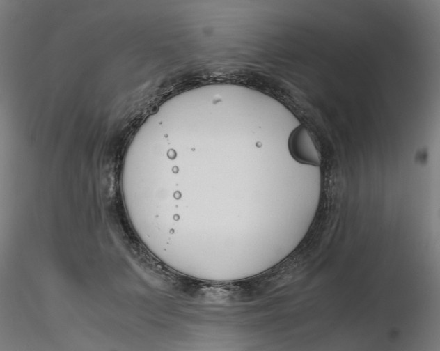 X0000116330703200912221420