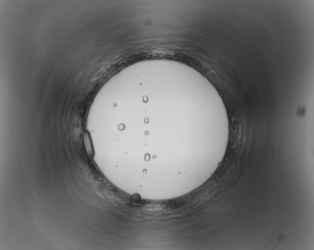 X0000116330704200912221420