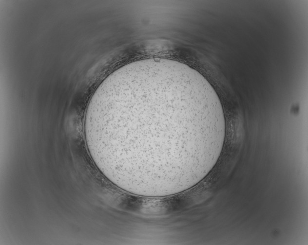 X0000116330705200912221420