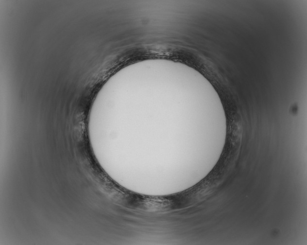 X0000116330707200912221420