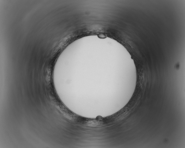 X0000116330708200912221420