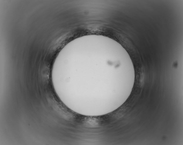 X0000116330710200912221420