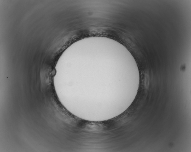 X0000116330712200912221420