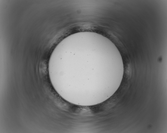 X0000116330715200912221420