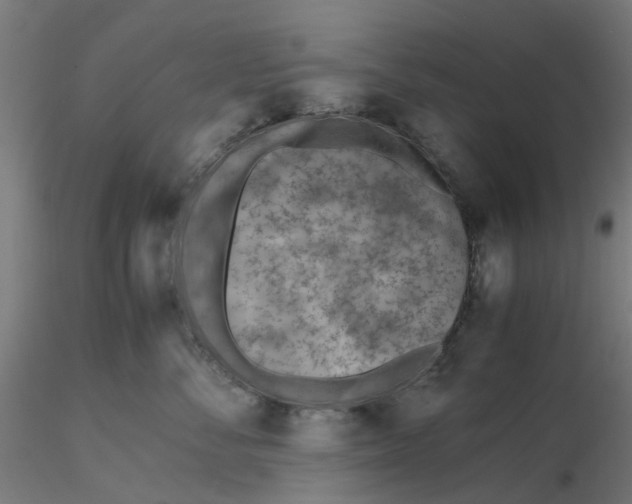 X0000116330716200912221420