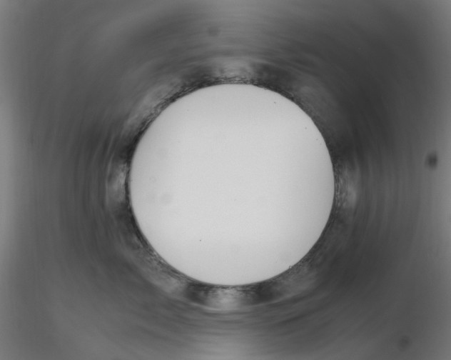 X0000116330717200912221420