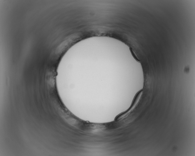 X0000116330719200912221420