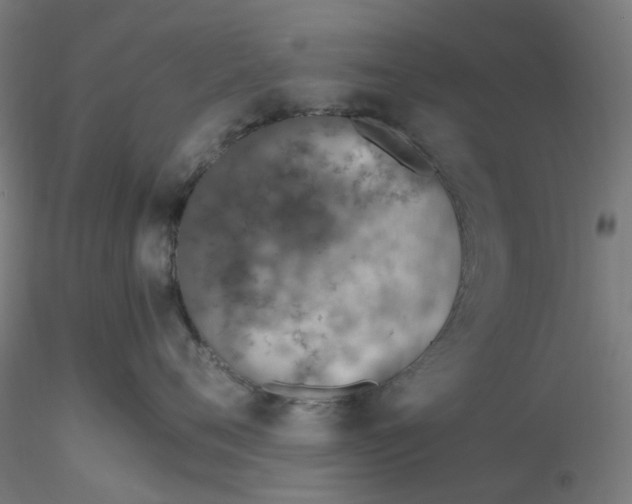 X0000116330720200912221420