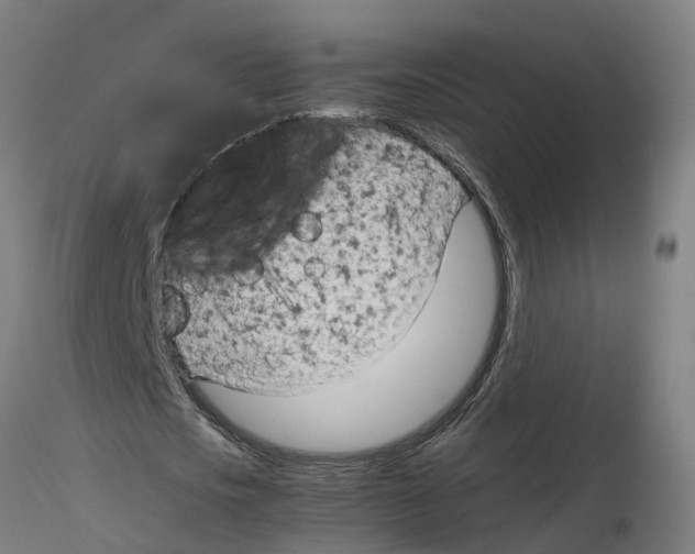 X0000116330721200912221419