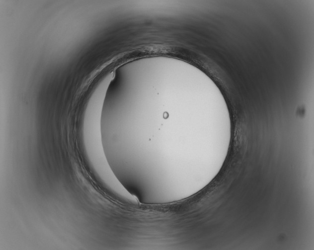 X0000116330722200912221419