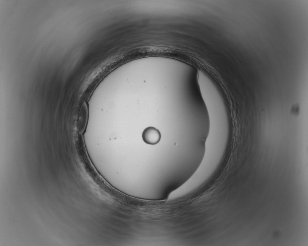 X0000116330725200912221419