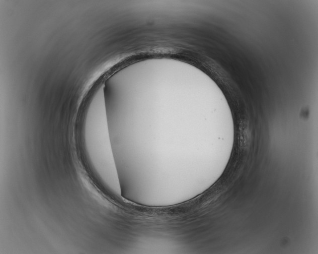 X0000116330726200912221419